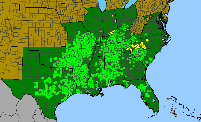 The range of Frangula caroliniana